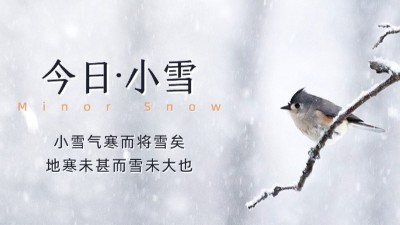 今日小雪：天漸寒，雪漸盛，愿您安康！