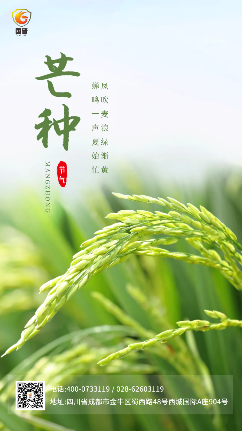 芒種 國晉
