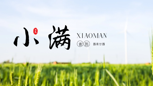 國晉：今日小滿