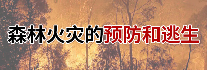 森林火災的預防和逃生-700