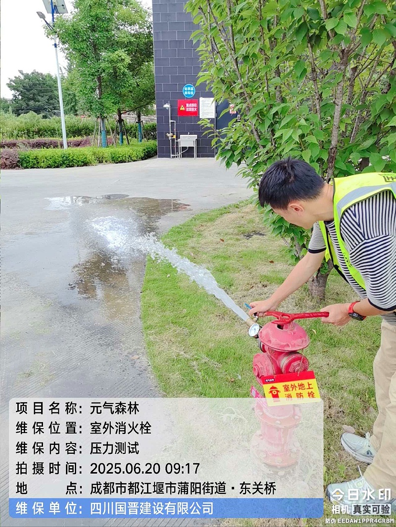 元氣森林