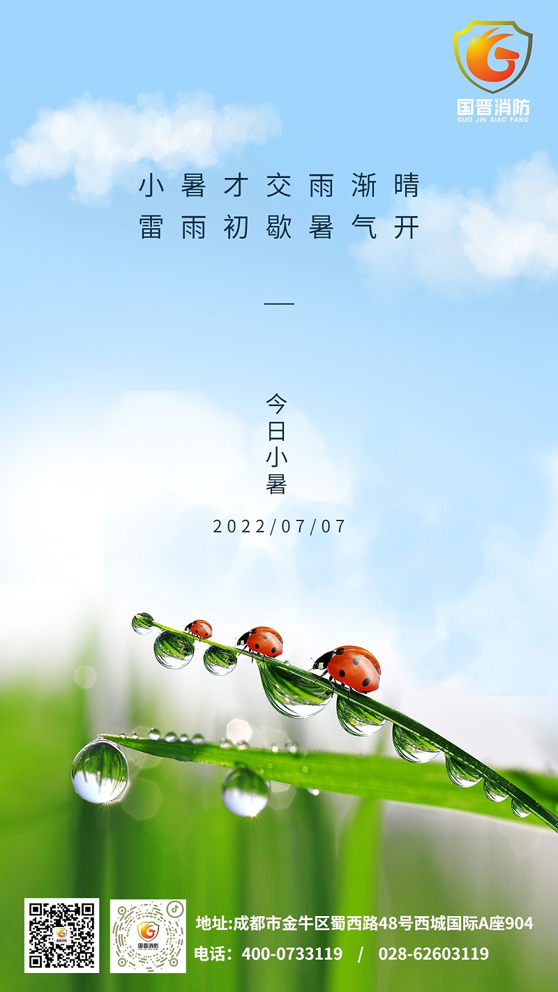 小暑節氣夏天綠植中式實景手機海報