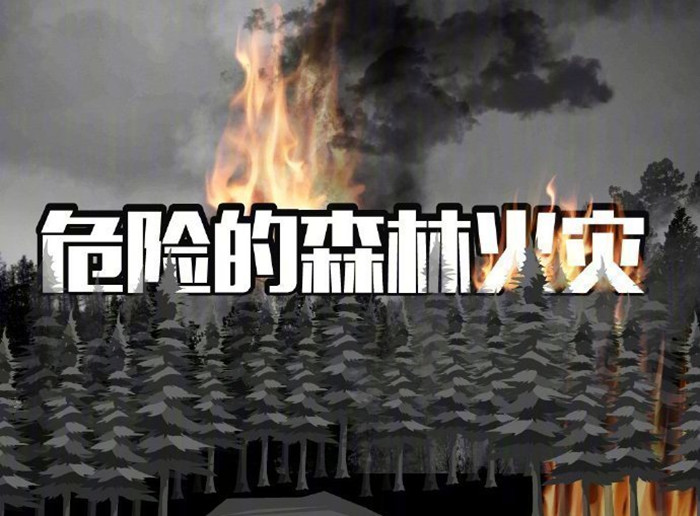 危險(xiǎn)的森林火災(zāi)_700