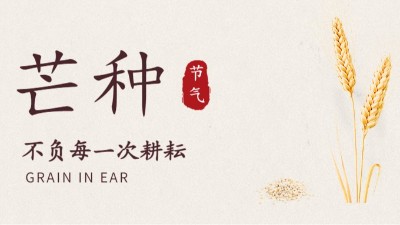 芒種不盲，關(guān)注消防---國晉消防
