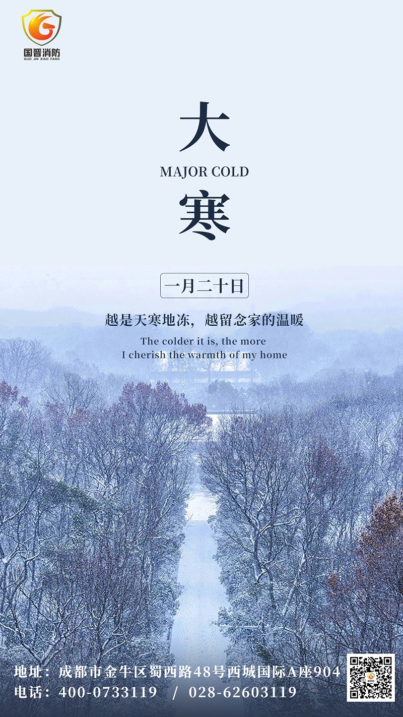 大寒節氣問候祝福實景手機海報